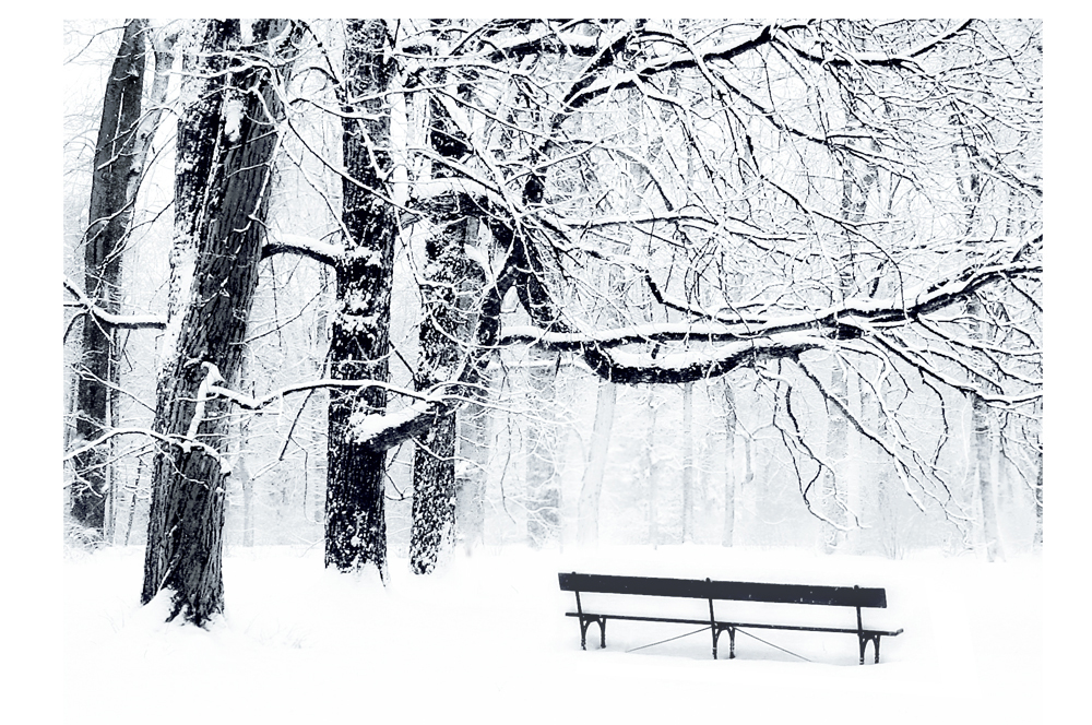 Winter solitude by Julia Dunin-Brzezinska + 