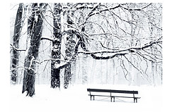 Winter solitude