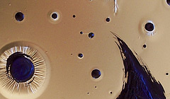 raindrops