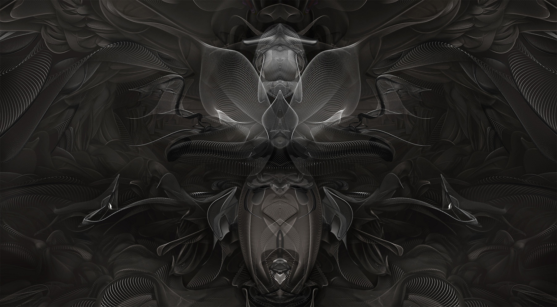 Insecta Echoes / Tineoidea - The Moth by Jonas Strandberg-Ringh + 