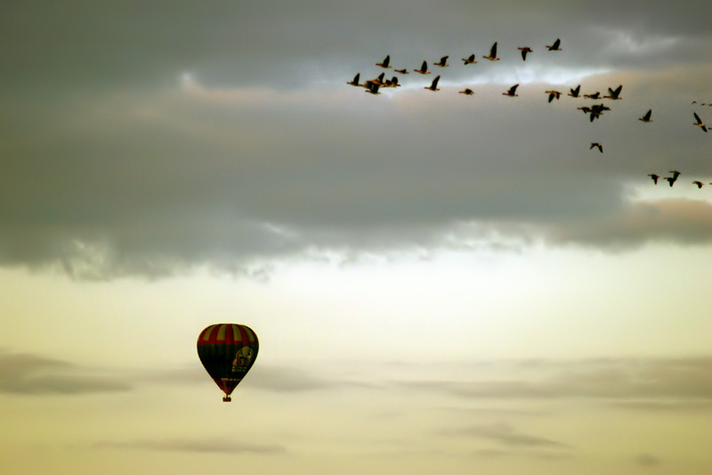 air by <br />
<b>Warning</b>:  strip_tags() expects parameter 1 to be string, array given in <b>/home/depthcore/public_html/content/chapter.php</b> on line <b>247</b><br />
