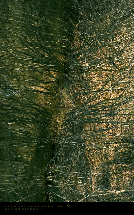 Element of Confusion 01 by <br />
<b>Warning</b>:  strip_tags() expects parameter 1 to be string, array given in <b>/home/depthcore/public_html/content/chapter.php</b> on line <b>247</b><br />
