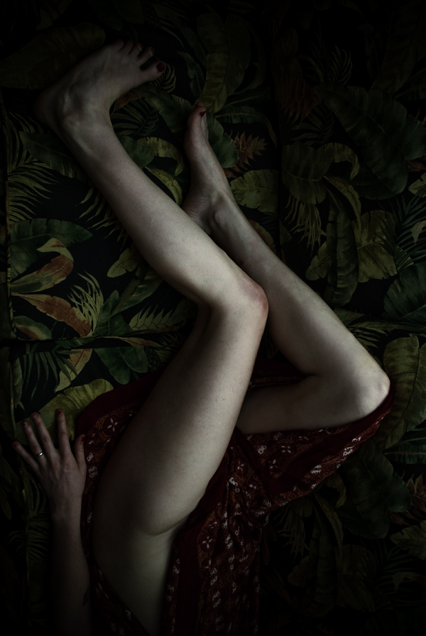 Limbs by Nadia Huggins + 