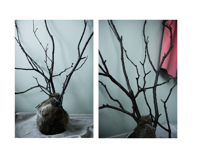 Still Life by <br />
<b>Warning</b>:  strip_tags() expects parameter 1 to be string, array given in <b>/home/depthcore/public_html/content/chapter.php</b> on line <b>247</b><br />

