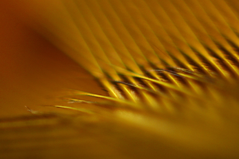 Scapism I by <br />
<b>Warning</b>:  strip_tags() expects parameter 1 to be string, array given in <b>/home/depthcore/public_html/content/chapter.php</b> on line <b>247</b><br />
