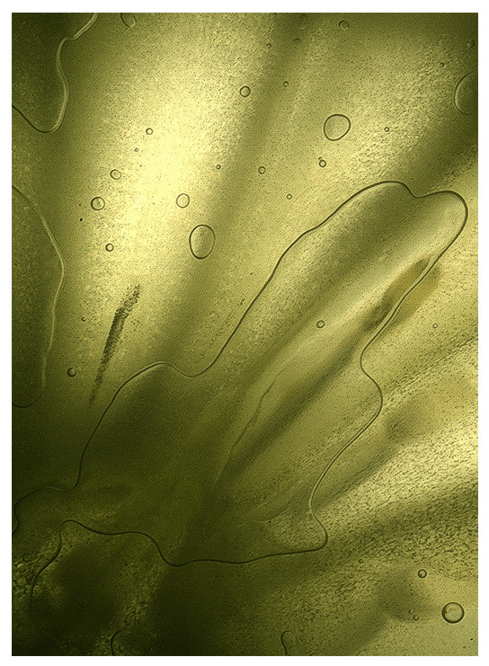 habitat of a cucumber by <br />
<b>Warning</b>:  strip_tags() expects parameter 1 to be string, array given in <b>/home/depthcore/public_html/content/chapter.php</b> on line <b>247</b><br />

