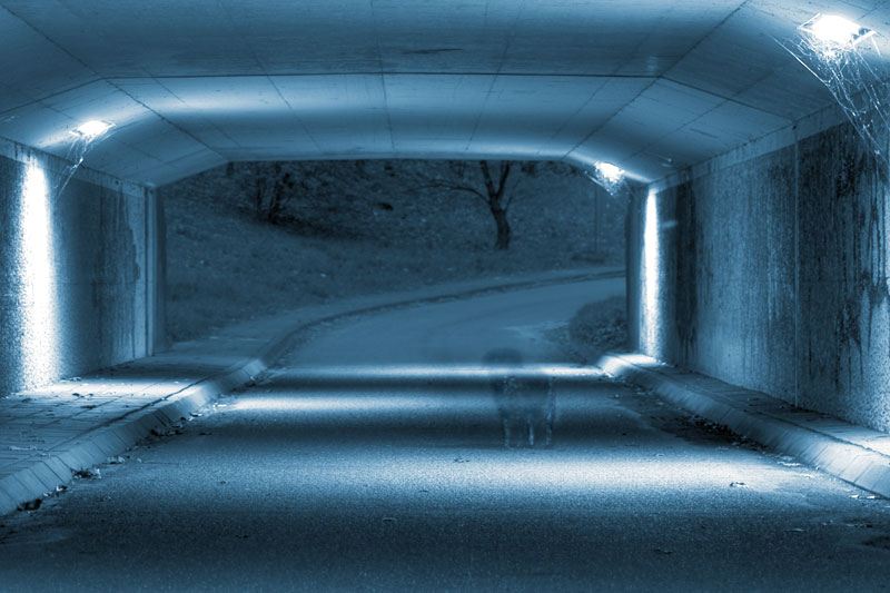 ghost I (the pet) by <br />
<b>Warning</b>:  strip_tags() expects parameter 1 to be string, array given in <b>/home/depthcore/public_html/content/chapter.php</b> on line <b>247</b><br />
