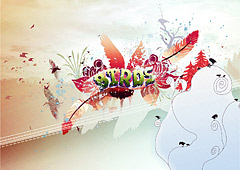 The birds